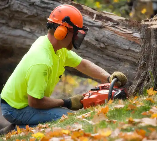 tree services Great Neck Estates